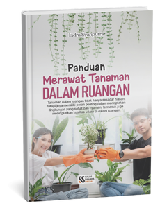 Panduan Merawat Tanaman dalam Ruangan