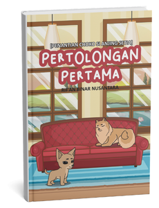 Penantian Choko si Anjing Setia: Pertolongan Pertama
